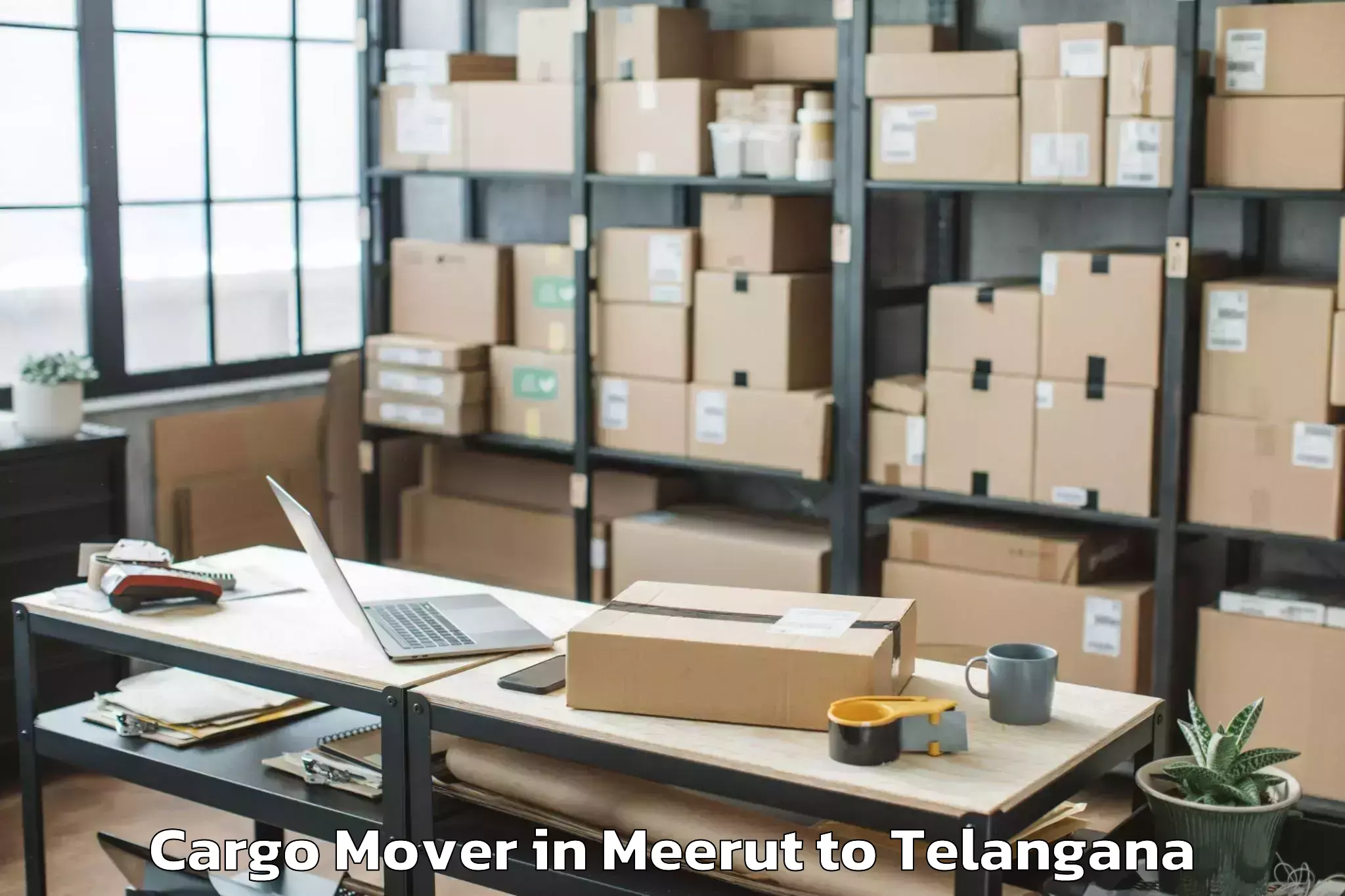 Book Meerut to Pinapaka Cargo Mover Online